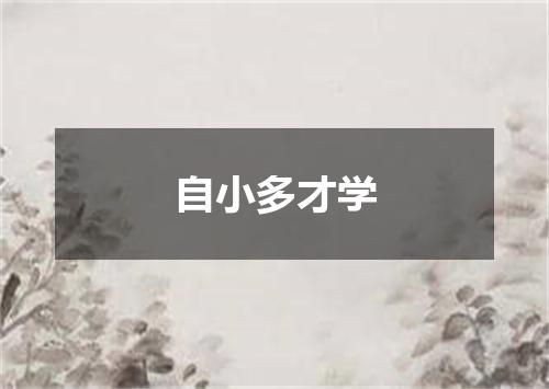 自小多才学