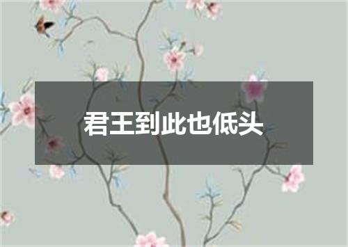 君王到此也低头
