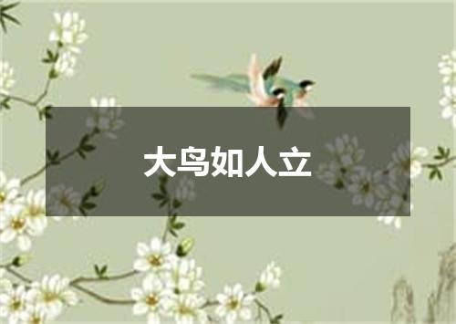 大鸟如人立