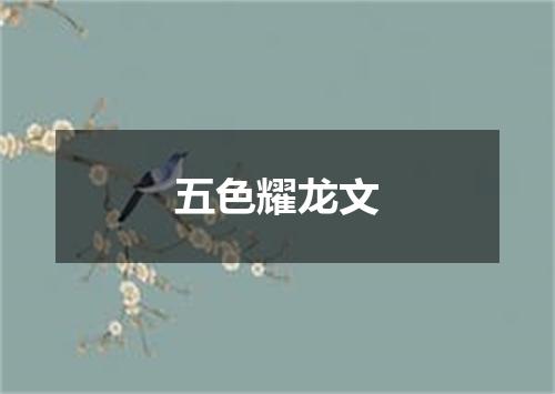 五色耀龙文