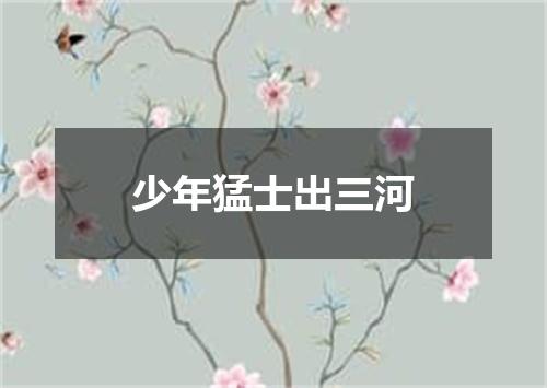 少年猛士出三河