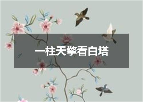 一柱天擎看白塔