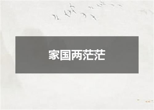 家国两茫茫