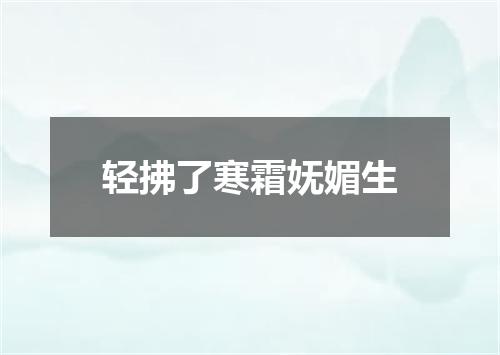 轻拂了寒霜妩媚生
