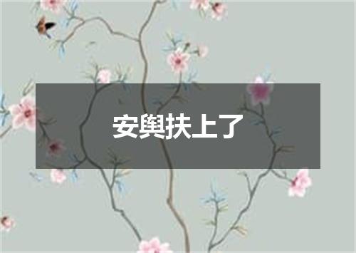 安舆扶上了