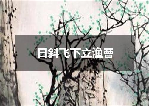 日斜飞下立渔罾