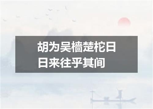 胡为吴樯楚柁日日来往乎其间