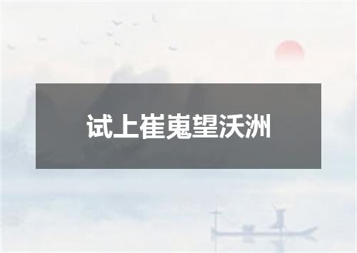 试上崔嵬望沃洲
