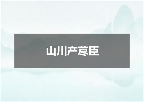 山川产荩臣