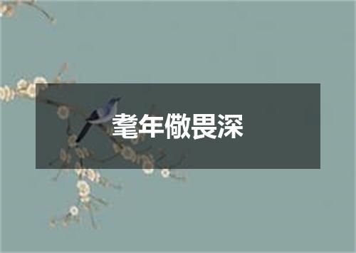 耄年儆畏深