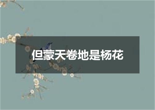 但蒙天卷地是杨花