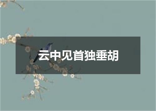 云中见首独垂胡