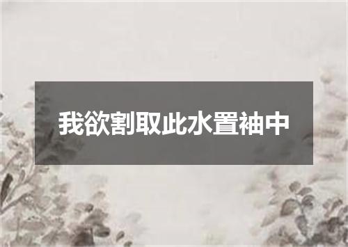我欲割取此水置袖中