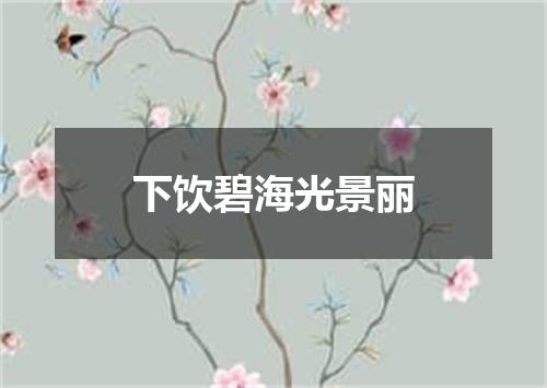 下饮碧海光景丽