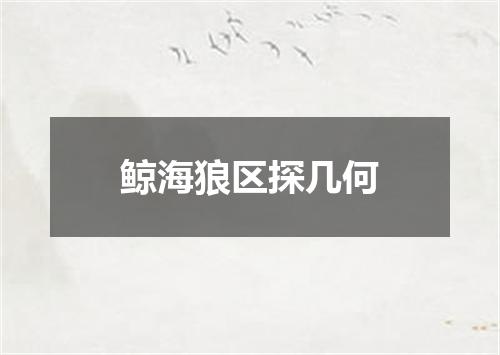 鲸海狼区探几何