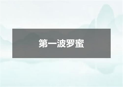 第一波罗蜜