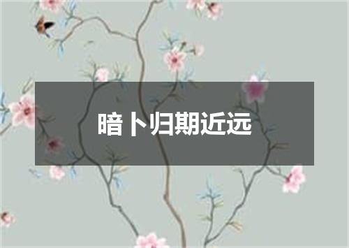 暗卜归期近远