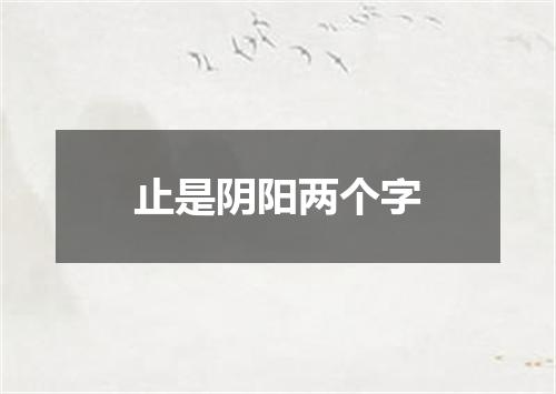 止是阴阳两个字