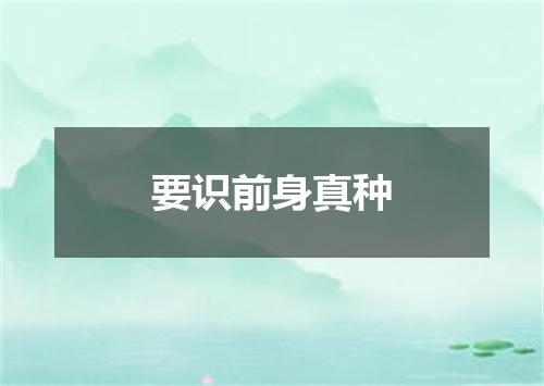 要识前身真种