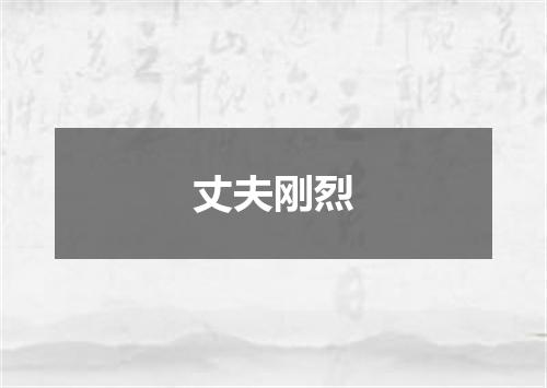 丈夫刚烈