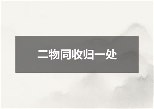 二物同收归一处