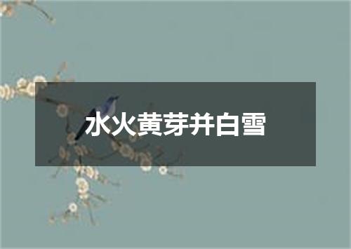 水火黄芽并白雪