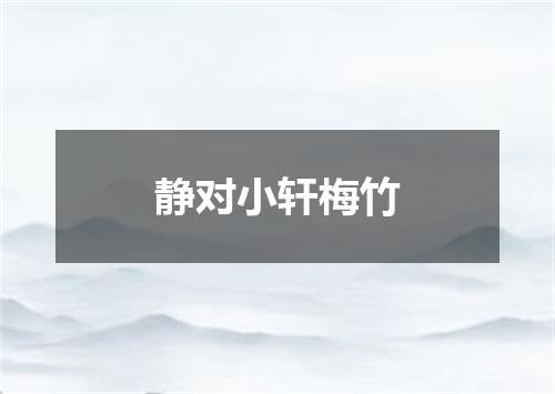 静对小轩梅竹
