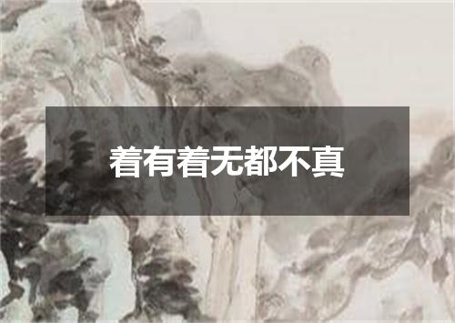 着有着无都不真