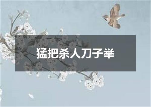 猛把杀人刀子举