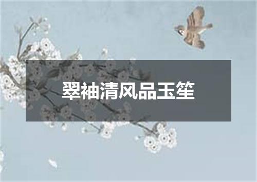 翠袖清风品玉笙