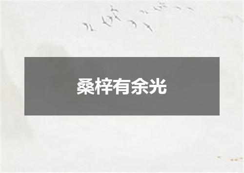 桑梓有余光