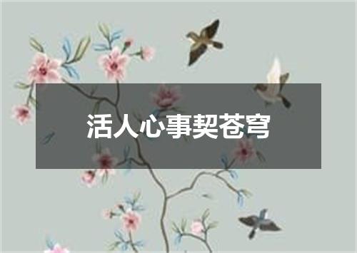 活人心事契苍穹