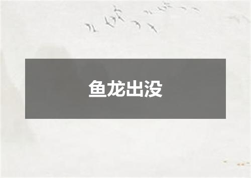 鱼龙出没