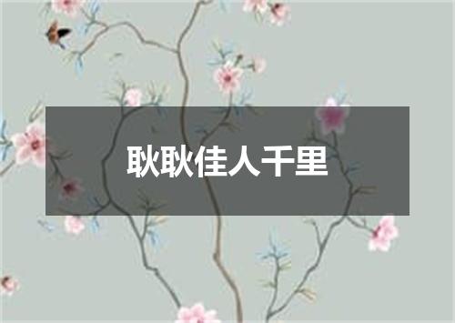 耿耿佳人千里