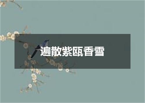 遍散紫瓯香雪