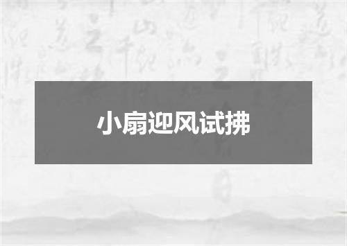 小扇迎风试拂