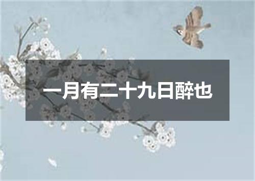 一月有二十九日醉也