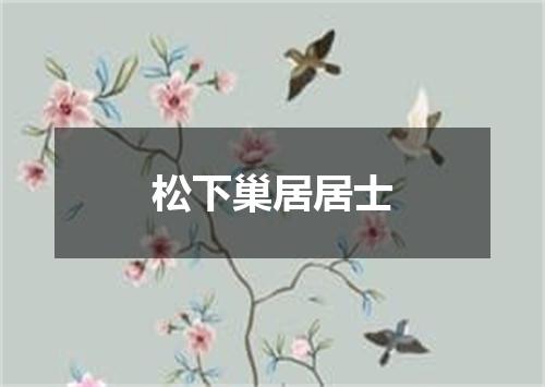 松下巢居居士