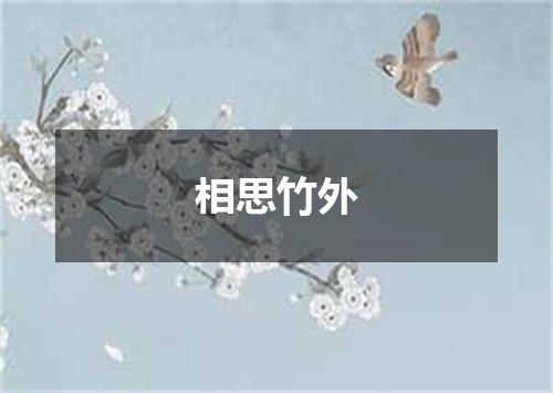 相思竹外