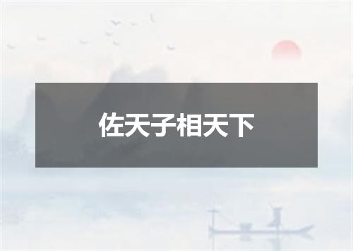 佐天子相天下
