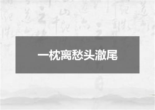 一枕离愁头澈尾