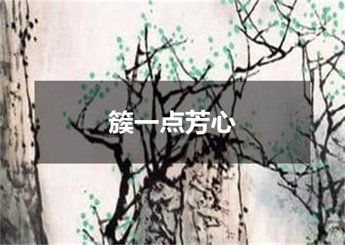 簇一点芳心
