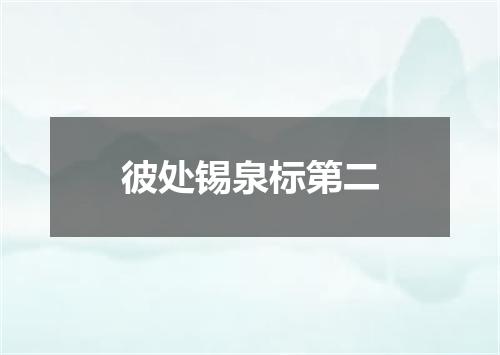 彼处锡泉标第二