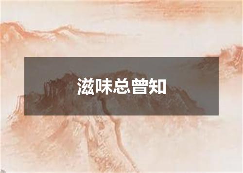 滋味总曾知