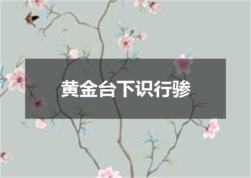黄金台下识行骖