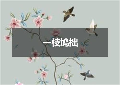 一枝鸠拙