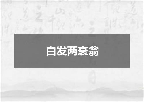 白发两衰翁
