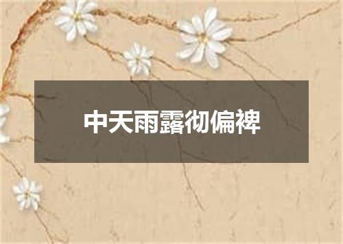 中天雨露彻偏裨