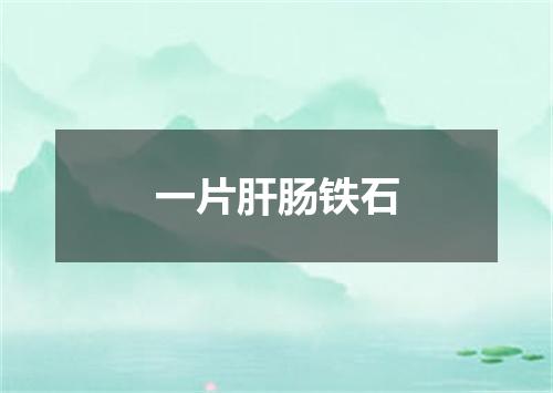 一片肝肠铁石