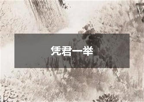 凭君一举